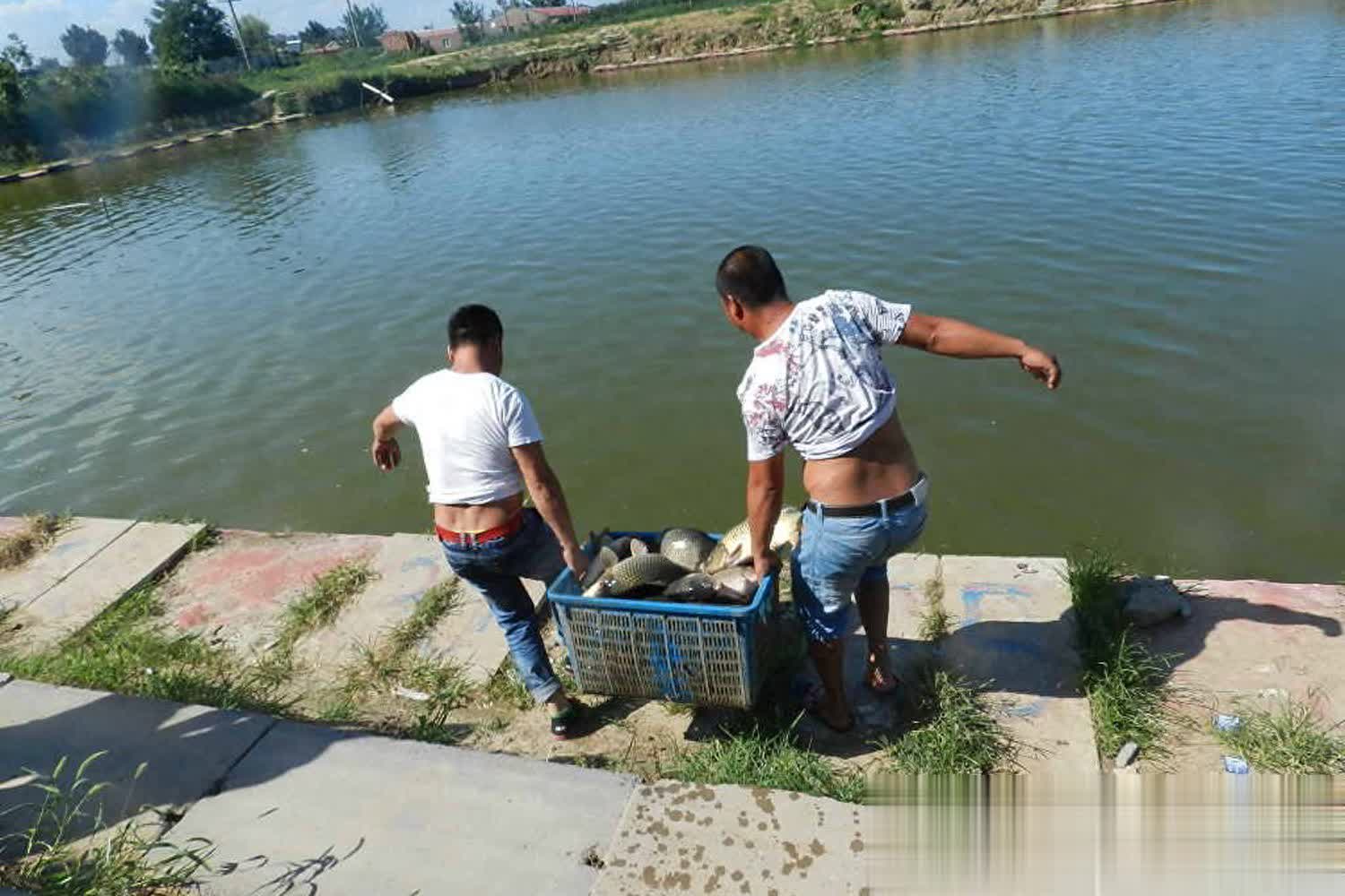 它们为了安, 古锤 它们为了安, 古锤