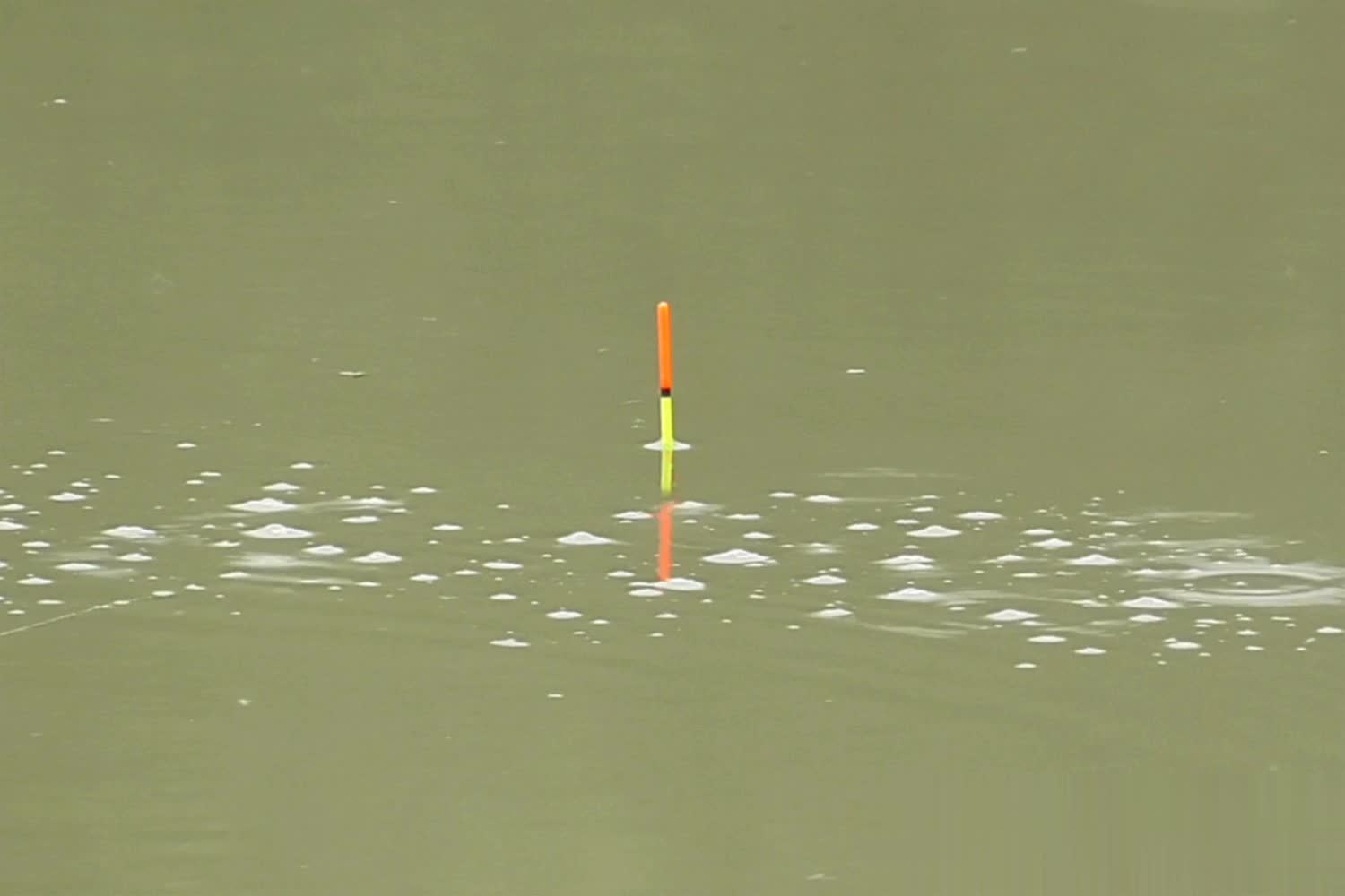 img, stron, 一般是开竿 img, stron, 一般是开竿