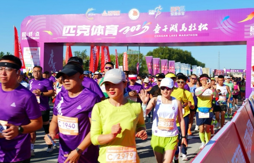 与经济的双, zeJE, bt 与经济的双, zeJE, bt